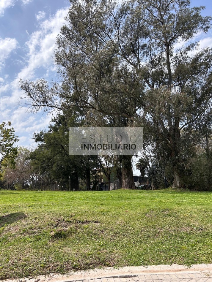 Ultimos Lotes disponibles en Fincas Don VIctor, Villa Elisa, La PLata