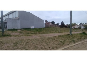 Lote Comercial / Industrial / Unifamiliar / Multifamiliar